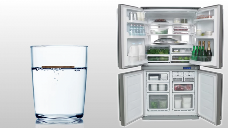 Hubungan Koin Di Freezer Dan Kualitas Makanan Di Kulkas